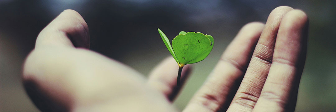 Life Assurance Life Assurance